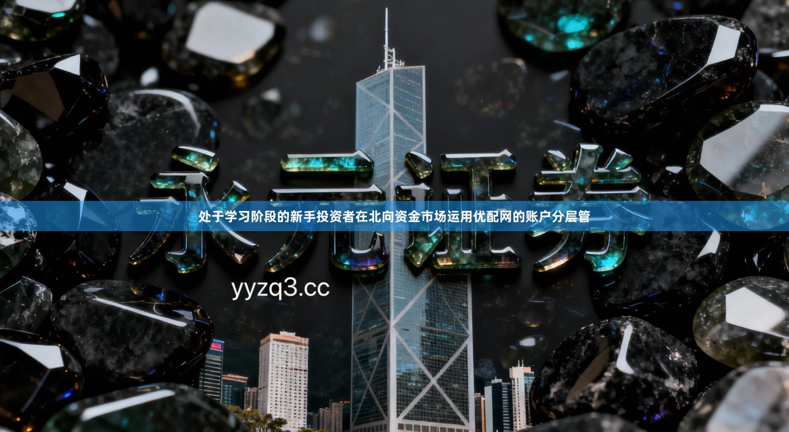 处于学习阶段的新手投资者在北向资金市场运用优配网的账户分层管